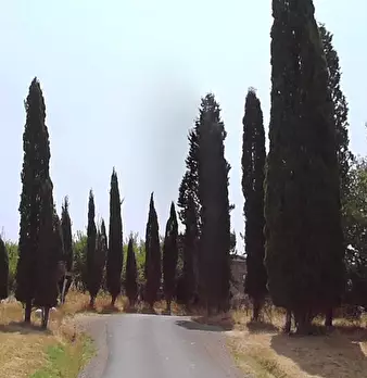 Foto annuncio 7
