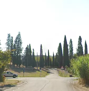 Foto annuncio 9