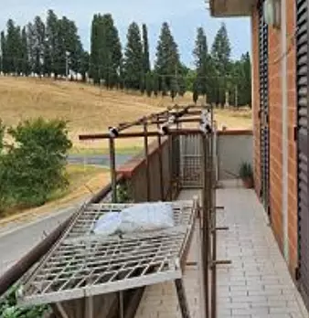 Foto annuncio 11
