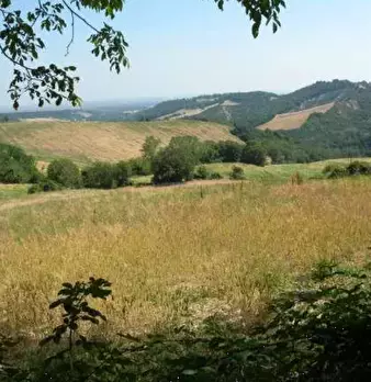 Foto annuncio 8