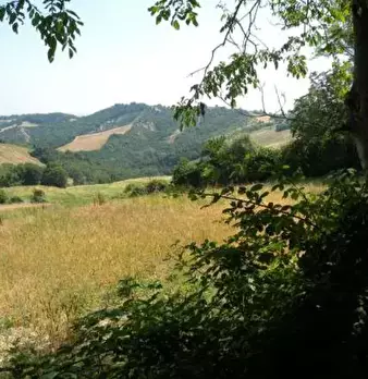 Foto annuncio 10