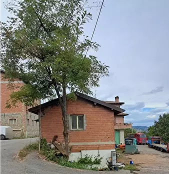 Foto annuncio 2