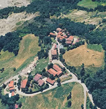 Foto annuncio 6