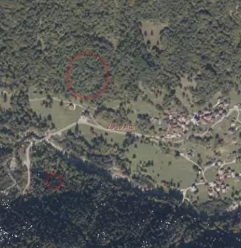 Foto annuncio 1