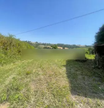 Foto annuncio 9