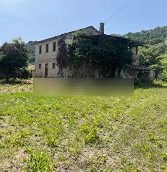Foto annuncio 11