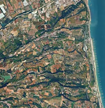 Foto annuncio 19
