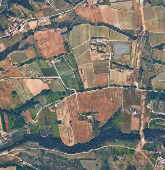 Foto annuncio 21