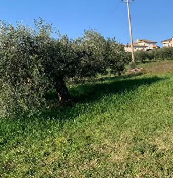 Foto annuncio 3