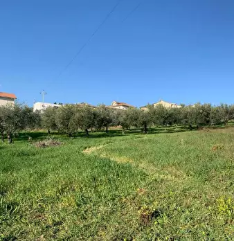 Foto annuncio 4