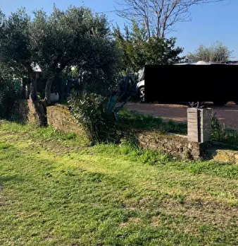 Foto annuncio 7