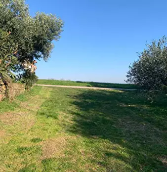 Foto annuncio 8