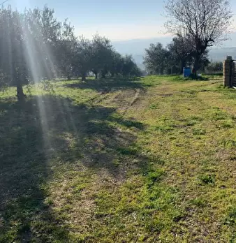Foto annuncio 9
