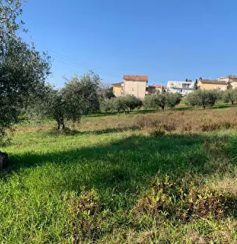 Foto annuncio 11