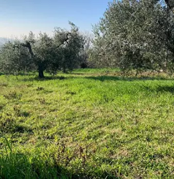 Foto annuncio 12