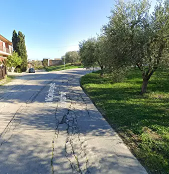 Foto annuncio 8