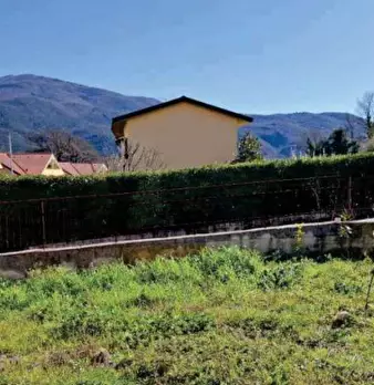 Foto annuncio 1