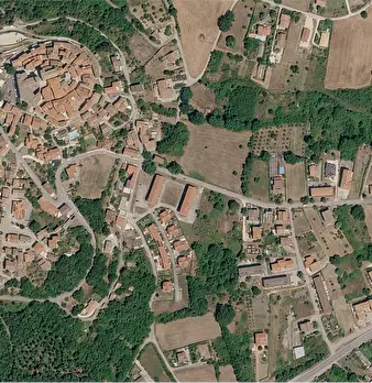 Foto annuncio 10
