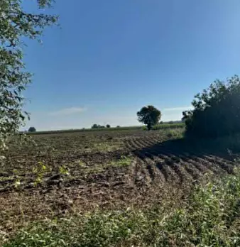 Foto annuncio 4