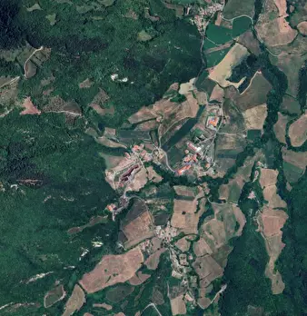 Foto annuncio 31