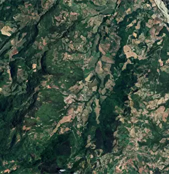 Foto annuncio 32