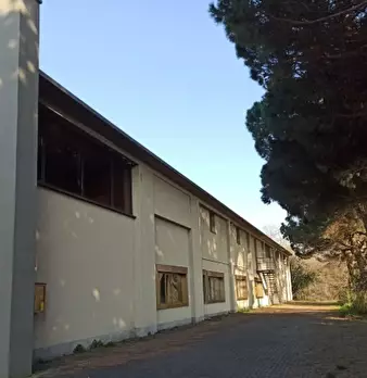 Foto annuncio 2