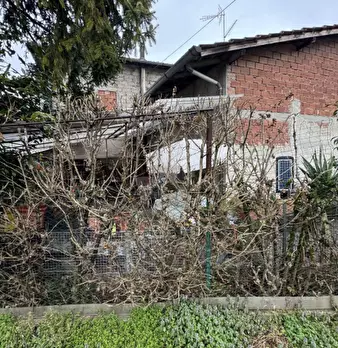 Foto annuncio 4