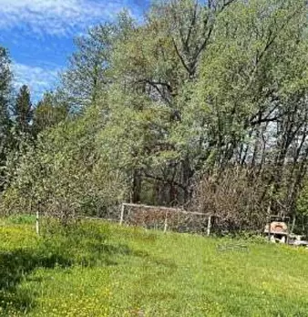 Foto annuncio 1