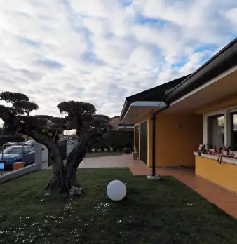 Foto annuncio 1