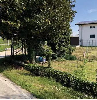 Foto annuncio 3