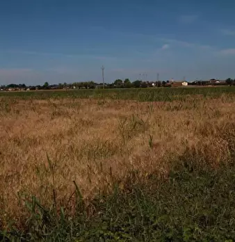 Foto annuncio 11
