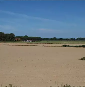 Foto annuncio 13