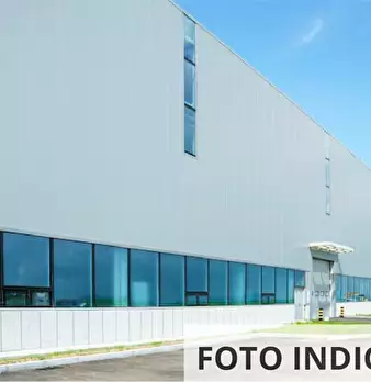 Foto annuncio 10