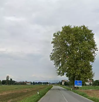 Foto annuncio 6