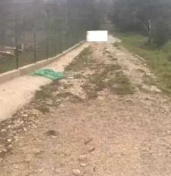 Foto annuncio 5