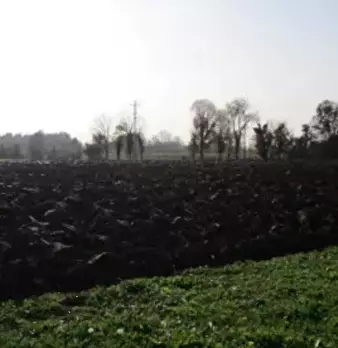 Foto annuncio 8