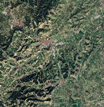 Foto annuncio 7