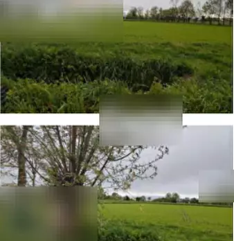 Foto annuncio 2