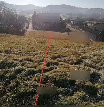 Foto annuncio 1
