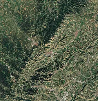 Foto annuncio 6