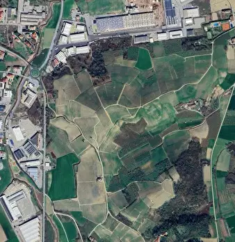 Foto annuncio 10