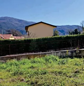Foto annuncio 1