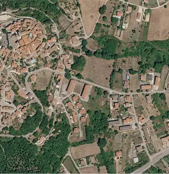 Foto annuncio 10