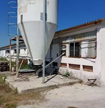 Foto annuncio 5