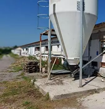 Foto annuncio 10