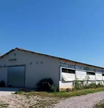 Foto annuncio 11