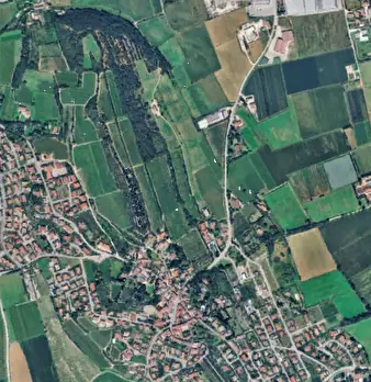 Foto annuncio 17