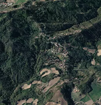 Foto annuncio 12