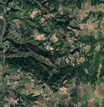Foto annuncio 6