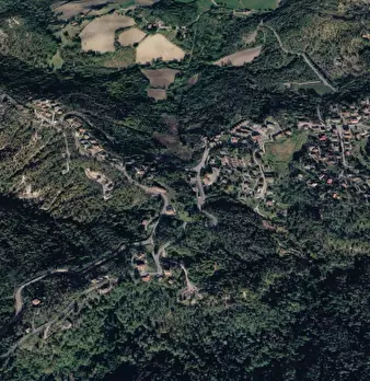 Foto annuncio 7